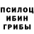 Псилоцибиновые грибы Magic Shrooms Jerico Castillo