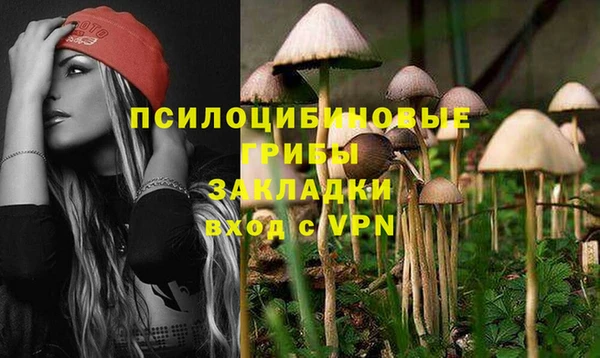 дурь Аркадак